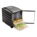 Buffalo 10 Dienblad Voedsel Dehydrator met Timer en Deur 480x362x415mm