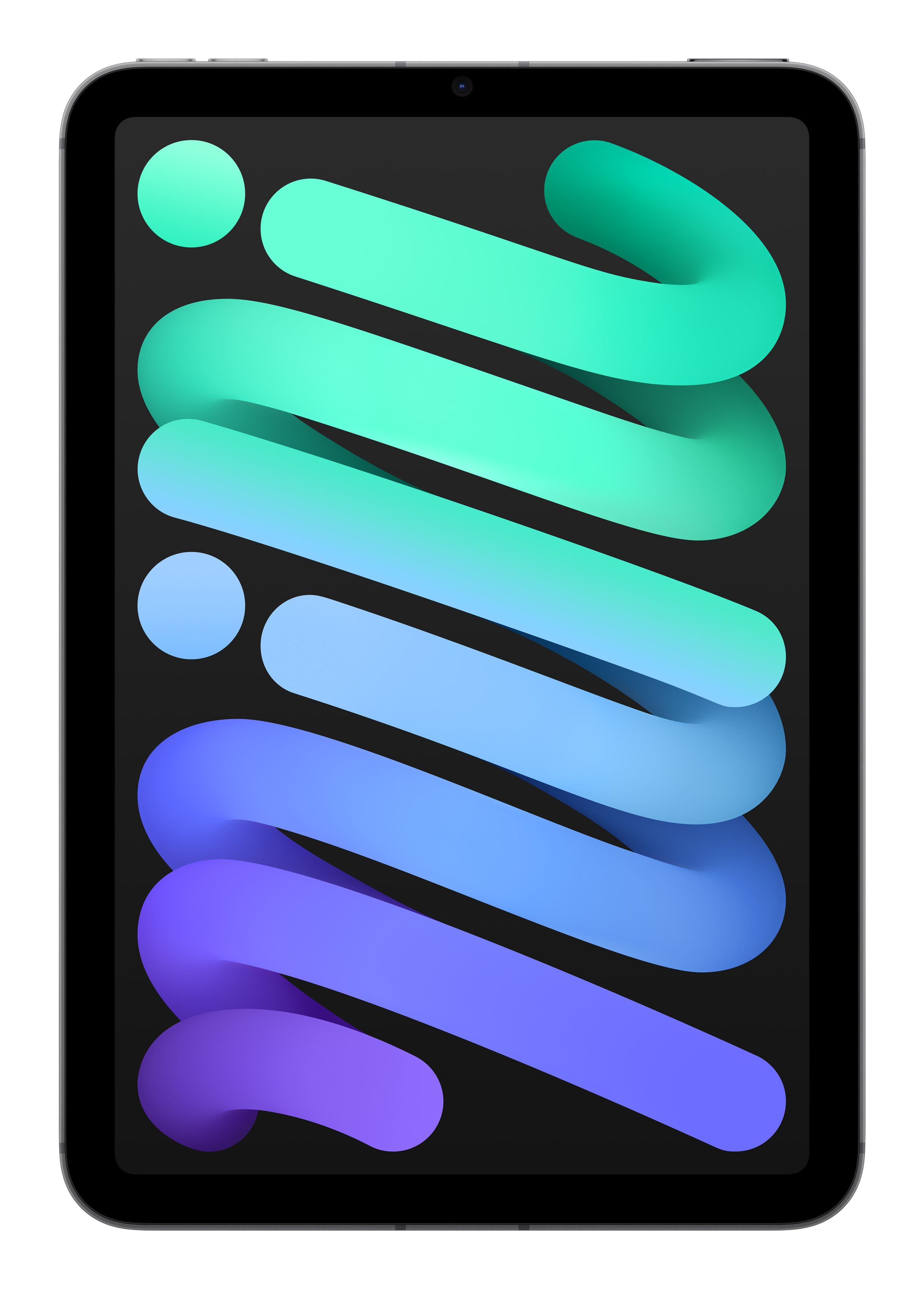 Apple iPad Mini / WiFi + 5G / 128GB / Grijs