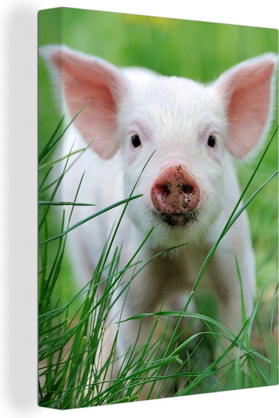 OneMillionCanvasses Canvas schilderij 120x160 cm - Varken - Multicolor - Rechthoek