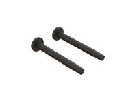 Horizon Pin 4x37mm (2) Metaal Accu