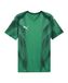 PUMA teamFINAL Graphic+ Jersey