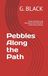 Pebbles Along the Path: Notes, Wounds, and Memories from the Work of Becoming Whole