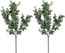 Mica Decorations Fleur artificielle - 2x - Branche d'eucalyptus artificielle - gris/vert - 65 cm