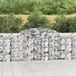 Maison Exclusive - Gabionkorven van verzinkt staal, 13 stuks, afmetingen 300x30x100/120 cm