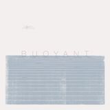 Sonic Rendezvous Consouling Sounds Dirk Serries & Rutger Zuydervelt - Buoyant (CD | LP) (Limited Edition)