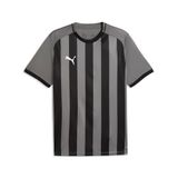 teamLIGA26 Puma teamLIGA26 Gestreepte Jersey
