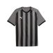 teamLIGA26 Puma teamLIGA26 Gestreepte Jersey