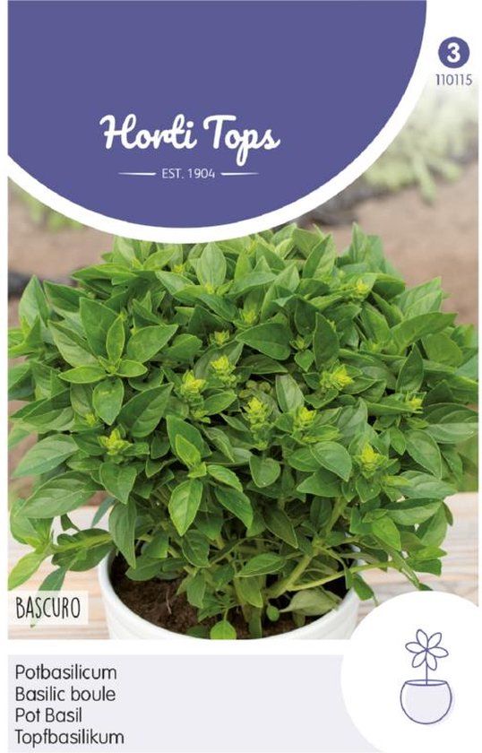Hortitops Pot-Basilicum Bascuro Donkergroene