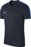 Nike Dry Academy 18 Shirt Junior Blauw Polyester Korte Mouw Maat 128