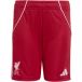 ADIDAS PERFORMANCE FC Liverpool FC 25/26 Sportbroek Rood/Wit