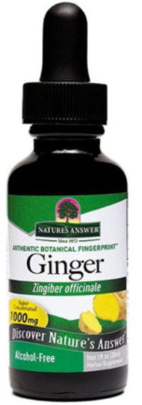 Natures Answer Gember extract 1:1 alcoholvrij 1000 mg 30ML