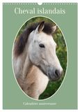 Cheval Calvendo Cheval islandais - Calendrier anniversaire (Calendrier mural 2027 DIN A3 horizontal)