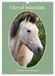 Cheval Calvendo Cheval islandais - Calendrier anniversaire (Calendrier mural 2027 DIN A3 horizontal)