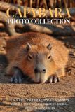 Capybara Photo Collection: Calm Full-Page Pictures of Capybaras for All Ages (Gentle Wildlife Books). with Amazing Facts