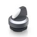 RAFI RAFIX 22 FS+ Bouton-poussoir lumineux 1 x 90 °