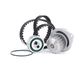 INA 530 0252 30 Distribution Kit + WP | Compatibel met: CITROËN AX, BX, BX Break, C15 Kasten/Großraumlimousine, C15 Kombi, SAXO, XSARA, XSARA Break, XSARA Coupe