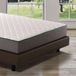 Bedshire Essential 160x190