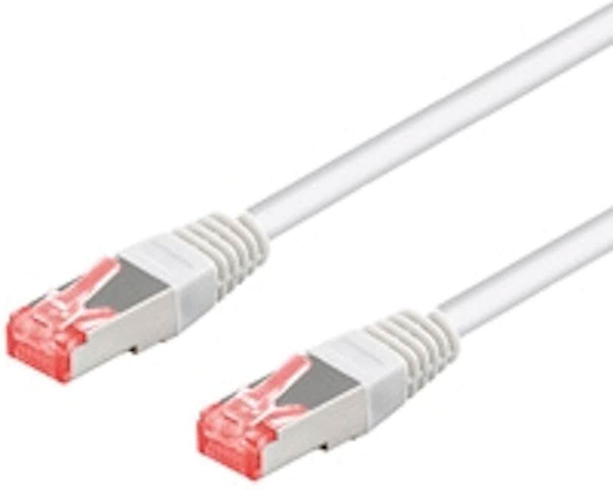 Wentronic Cat6a-100 - 1.0m