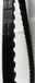 Gates CDCCT tandriem Carbon Drive 125T zwart
