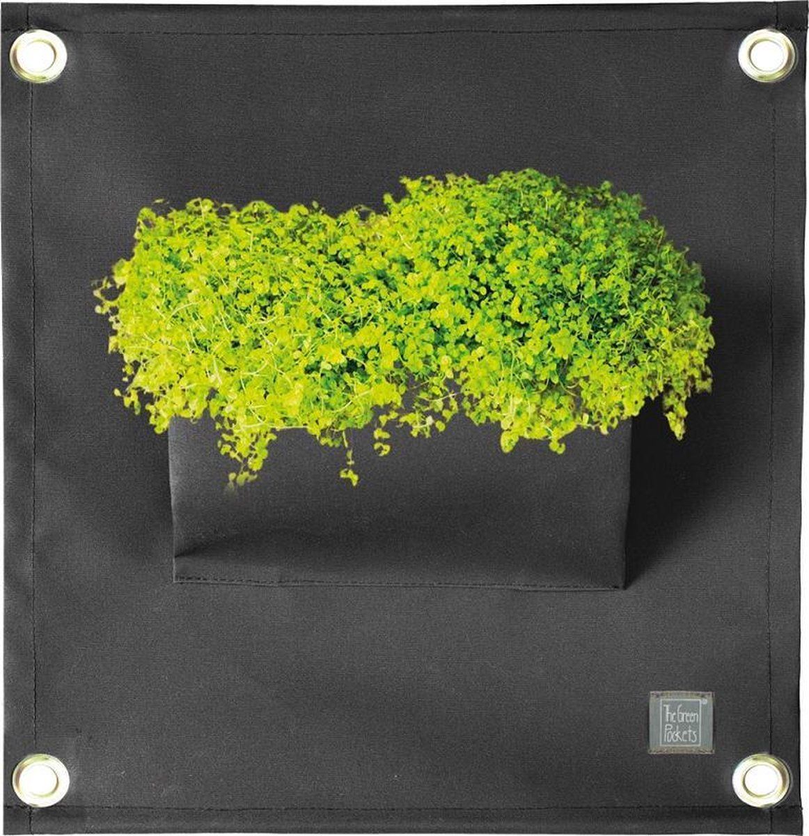Bloomingwalls Plantenbak The Blooming Walls The Green Pockets AMMA1 - Zwart