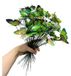Icecat Lot de 50 Papillons 3D en Plastique pour Décoration de Jardin