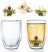 Creano Dubbelwandig thermoglas 250ml, set van 2 + 2 theebloemen Witte thee in cup formaat