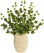 Mica Decorations Kunstplant takken Hedera - 5x - H63 cm - groen