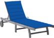 vidaXL Lit de jardin avec coussin acacia massif gris
