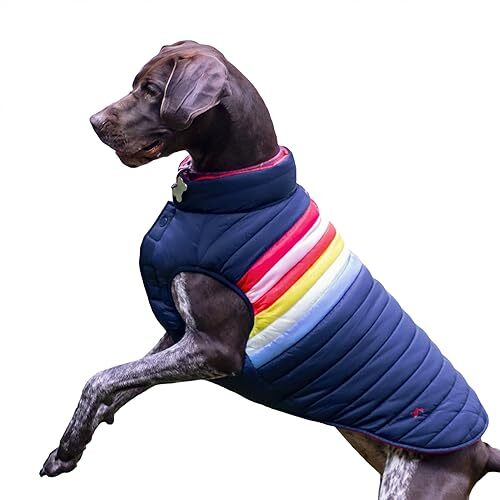 Rosewood Joules Rosewood x Joules Regenboog knusse jas, maat groot, gewatteerde waterbestendige hondenjas