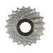 Campagnolo S.R.L. Ritzel CS12-GH1111, zilver, 11-21