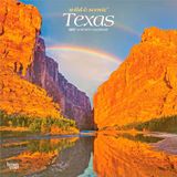 Texas Wild & Scenic 2027 12 X 24 Inch Monthly Square Wall Calendar