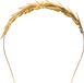 Boland Diadeem Lauwerkrans Goud IJzer Unisex Volwassenen Griekse en Romeinse Oudheid