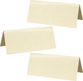 Santex naamkaartjes/plaatskaartjes - Bruiloft - creme - 100x stuks - 7 x 3 cm