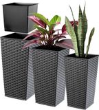 KADAX Bloempotset, grafiet rotan, set van 3 stuks