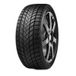 DELINTE WINTER WD6 205/55R17 95H XL MFS BSW