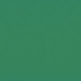 Vaessen Creative Florence Karton - Broccoli - 305x305mm - Ruwe textuur - 216g