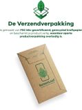 ScreenLeaf Bedifol GmbH 2 Stuks Screenprotector voor Ulefone RugKing 5 Pro - Hoogwaardige Beschermfolie transparant