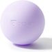 Icecat Balles pour la libération myofasciale, la thérapie par points de déclenchement et la thérapie par le yoga, balle de massage de football pour soulager la fasciite plantaire, violet