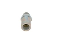 BOSCH Valve, exhaust gas recirculation 1110010030