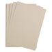 Clairefontaine 37810C Riem Etival Color Papier - 250 Vellen Lichtgrijs Tekenpapier met Korrel - 50x65 cm 160g - Ideaal voor Tekenen en Creatieve Activiteiten