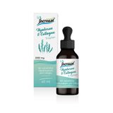 Increase Gouttes liposomales hautement concentrées en acide hyaluronique et collagène - (60 000 mg d'acide hyaluronique et de collagène par boîte) 2 000 mg d'acide hyaluronique et de collagène par dose journalière - Huile MCT