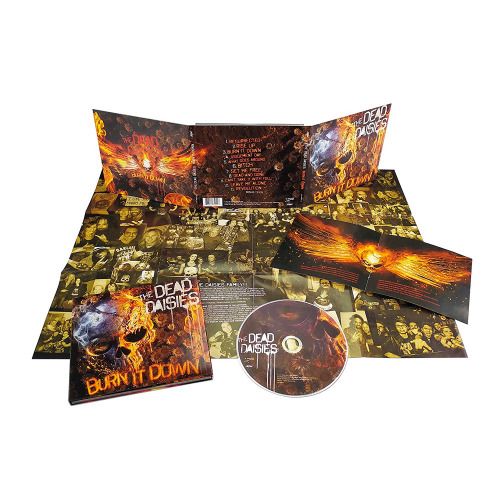 ImportCDs Burn It Down (CD)