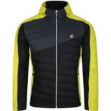 Dare 2b Regatta Gevulde Jas Hiking Heren Steppjacke Groen Maat S