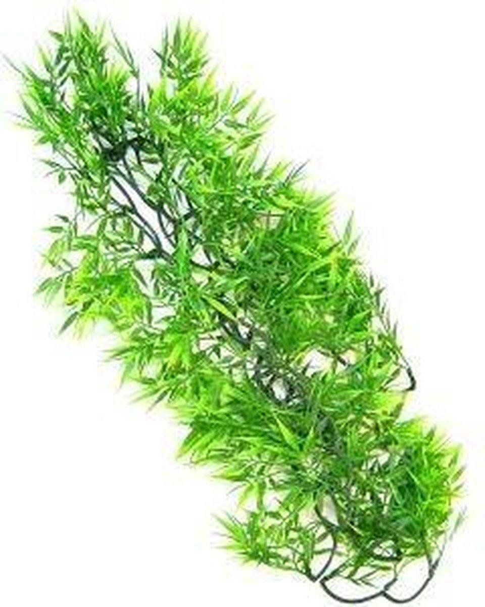 Zoo Med Dierentuin Med Madagaskar Bamboe - Medium