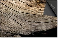 Dietrix Inductie beschermer 60x52 - Hout en Boom - Houten stronk schors