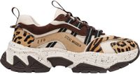 Steve Madden Animates-L Lage Sneakers Dames Beige