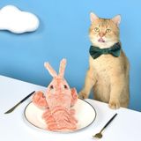 Petgravity Jouet interactif homard culbuto pour chat, Recharge USB-C, Peluche, Bébé animal de compagnie