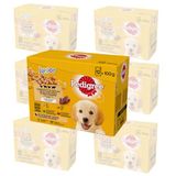 PEDIGREE DOGCARE Pouch Wet (Mixed) Chunks IN Jelly Junior 100G Multipack Standard 84x100g