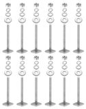 Merkloos RVS T-Screws M6 met Moeren voor Fietsendrager - Set van 12