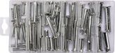 paymali Yato Assortiment Borgpennen / Pennen met Kop en Gat - 60-delig - 5x25 mm t/m 12x50 mm - In Handige Sorteerdoos